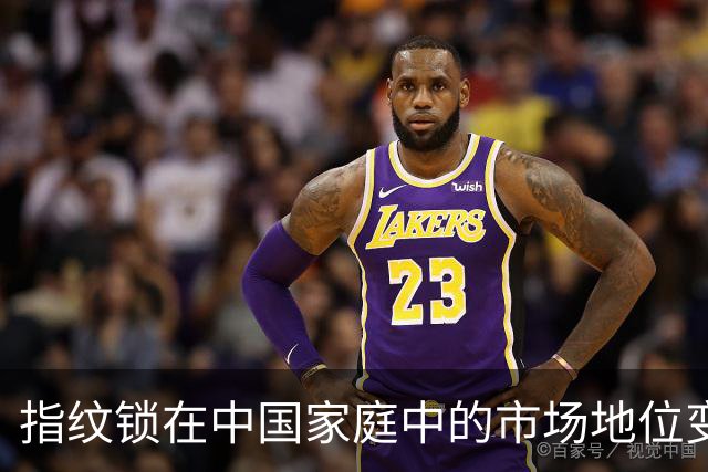 指纹锁在中国家庭中的市场地位变化研究